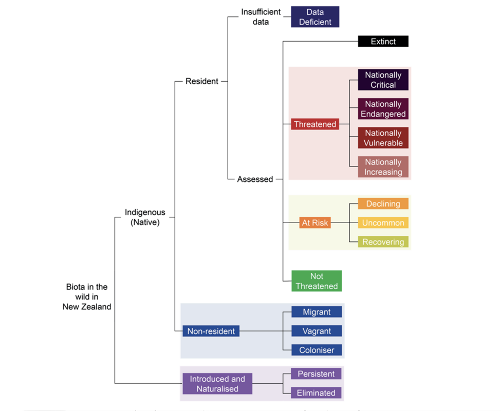 Diagram showing the relationship of the NZTCS categories 