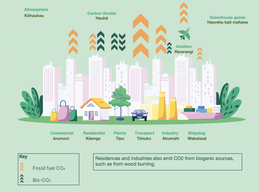 Diagram of city with carbon cycle information. 