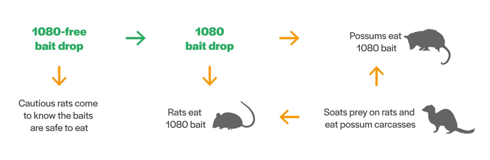 1080 And Pest Control A Timeline Science Learning Hub